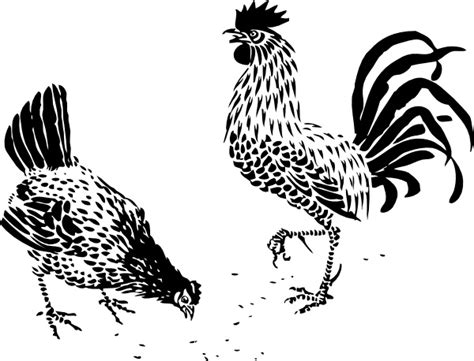 Hen And Rooster Clip Art Vectors Graphic Art Designs In Editable Ai