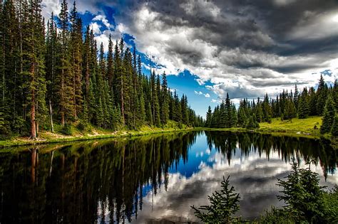 Royalty Free Photo Body Of Water Surrounded By Trees Pickpik