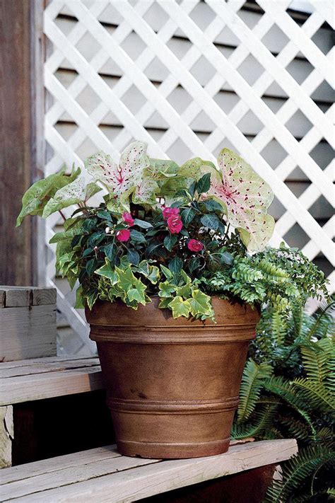 30 Containers For Covered Porches That Will Thrive In The Shade