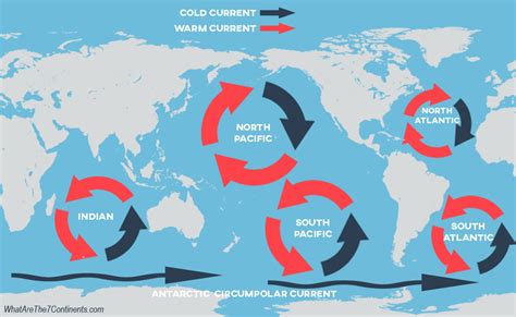 Ocean Gyres Plastic Oceans International