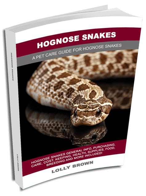 Lolly Brown About Hognose Snakes