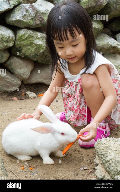 Asian Little Chinese Girl Feeding A Rabbit With Carrot In The Farm