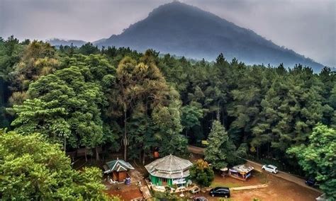 Hutan Pinus Sentul Menikmati Panorama Alam Gunung Pancar Bogor