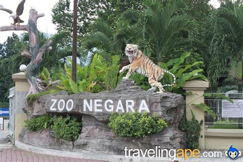 Top 10 Places To Visit In Malaysia - The Gypsy's Passport