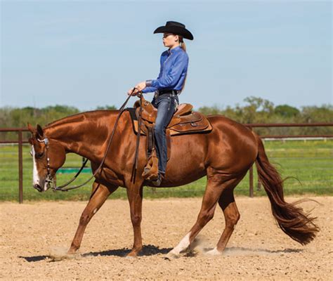 How to get onto a horse. Stop Right Now! - Horse&Rider