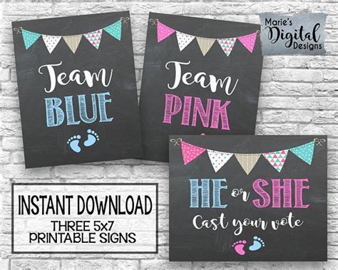 Instant Download Team Blue Team Pink He Or She Cast Your Vote Printable