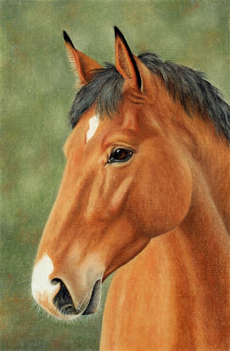 Horse Pastel Painting By Colin Bradley Using Pastel Pencils Learn To