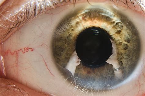 Maybe you would like to learn more about one of these? Slip inside the eye of your mind [Explored #5 & Front Page ...