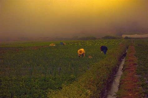 The philippines recorded the most number of food insecure people in southeast asia in 2017 to 2019, with 59 million filipinos suffering from moderate to severe lack of consistent access to food, a. Philippines: FAO, DA unveil operations centre for disaster ...