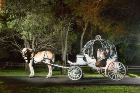 These buggies are ideal for shuttling hunters along with their gear and their guide. Savannah Woods Plantation, Collierville, Tennessee ...