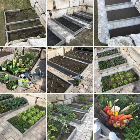 Gemüsebeete im Garten anlegen, bepflanzen & pflegen ...