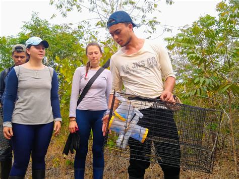 It is locally known as universidad el bosque. Universidad El Bosque adelanta inventario de especies en ...