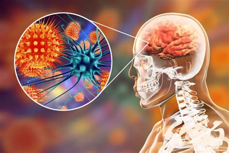 Meningitis is an inflammation of the membranes that cover the brain and of the spinal cor. A novel drug target for viral encephalitis therapies ...