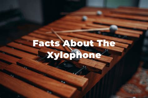15 fun and interesting facts about the xylophone