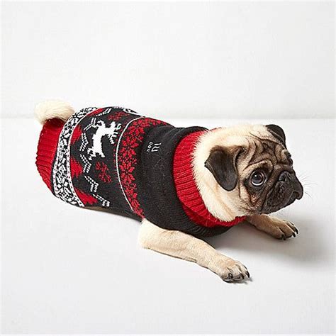 Dog pants & jumpers | doggievoguecom free patterns for how to knit a dog sweater to keep your puppy warm and cozy easy and complex dog sweater knitting patterns machine knitting patterns to make dog coats and. Red Christmas knit jumper for dogs ⋆ Christmas Jumpers ...