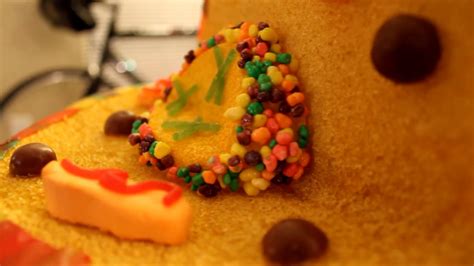 My son recently had to come up with a unique way of creating an animal cell model by using any material he chose. Candy Animal Cell Project idea. - YouTube