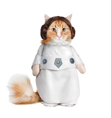 Princess Leia Walking Cat Costume - Pet Costume Center