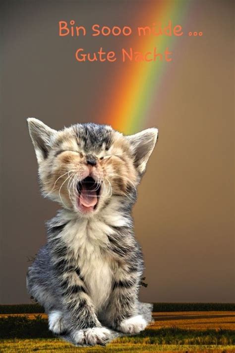 Ruhe sanft, schlafe ein, auch engel dürfen müde sein. Going #to #bed #soon #?? #Hope #you #are #fine? #Sleep # ...