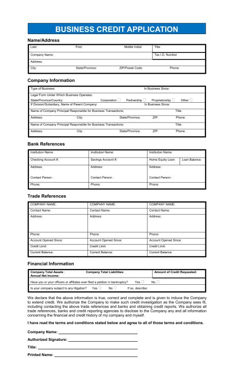 Free Printable Credit Application Form Form (GENERIC)