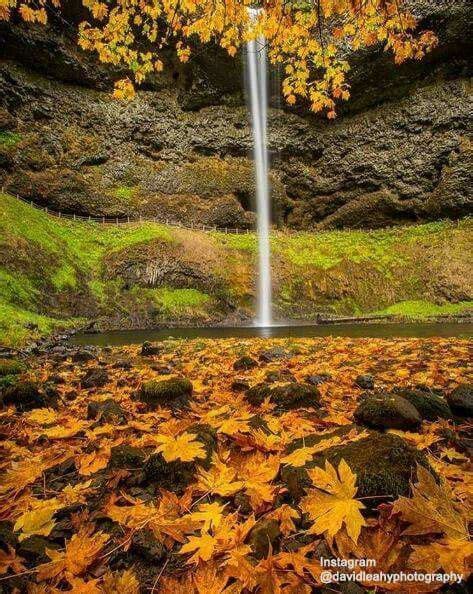 Pin By Debbie Mcnair On Waterfalls Silver Falls State Park Silver
