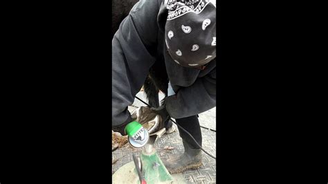 Trimming My Friesians Hooves With An Angle Grinder Youtube