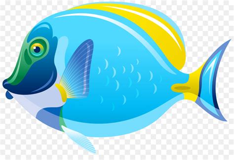 Clip Art Cartoon Fish Flirty Fish Png Download 566453 Free