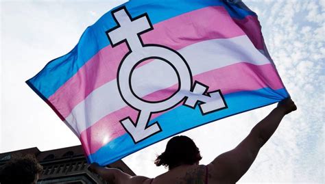 Negación Acoso Y Discriminación El Día A Día De Las Personas Trans