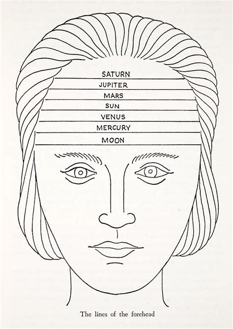 The Lines Of The Forehead Drawing By English School Pixels