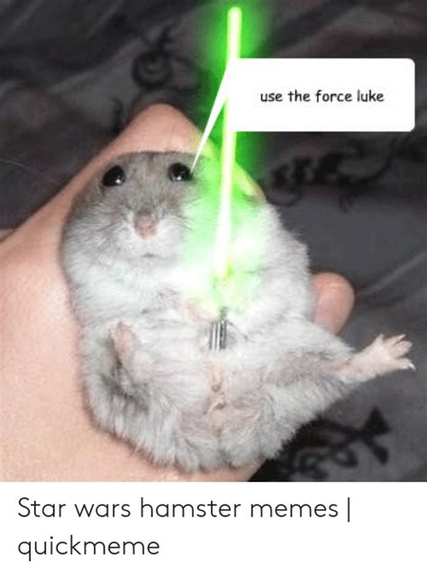 Use The Force Luke Star Wars Hamster Memes Quickmeme Meme On Meme