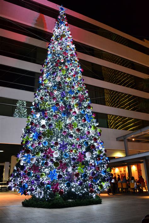 Nuestro árbol De Navidad Cuenta Con Más De 500 Luces Y Más De Mil