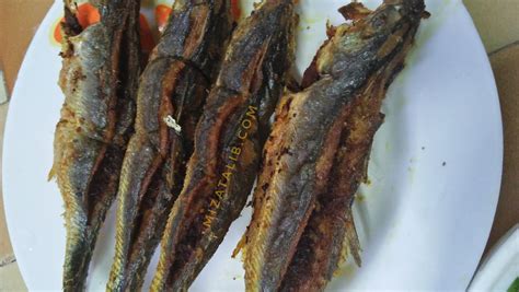 Inilah resep lengkap cara buat cincau hitam maupun cara bikin cincau hijau secara lengkap. Resepi Ikan Cencaru Bakar Sumbat Sambal Kelapa ~ Resep ...