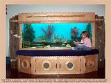 Plywood Fish Tank