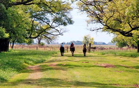 El Turismo Rural En Buenos Aires Tiene Campo Para Seguir Con Su