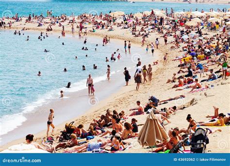 People Sunbathing On Sunny Summer Beach Editorial Photography Image
