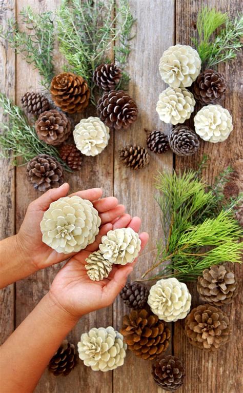 Easiest 5 Minute Bleached Pinecones Without Bleach Easy Christmas