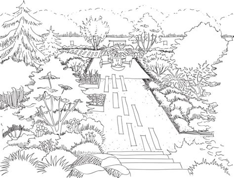 Garden Creation How To Draw A Perspective Sketch Drawntogarden 5
