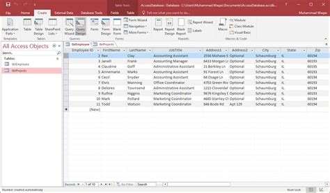 Ms Access Query Data