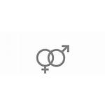Heterosexual Orientation Sexual Icon