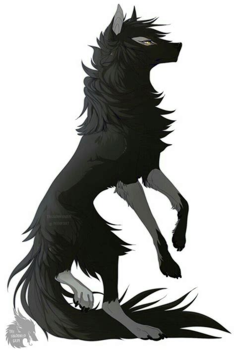 Anime Wolfs Wolf Artwork Animal Drawings Anime Wolf