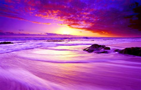 1400x900 Purple Beach Sunset 4k 1400x900 Resolution Hd 4k