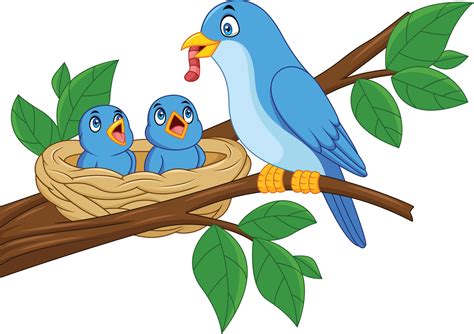 Mother Blue Bird Feeding Babies In A Nest 7270786 Vector Art At Vecteezy
