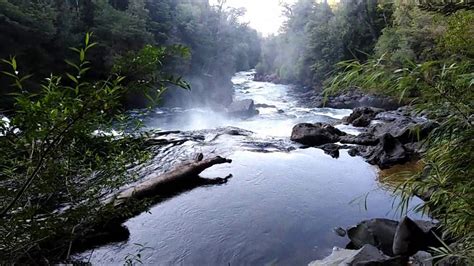 Check spelling or type a new query. SALTO DE LA LEONA,RESERVA BIOLÓGICA HUILO HUILO - YouTube