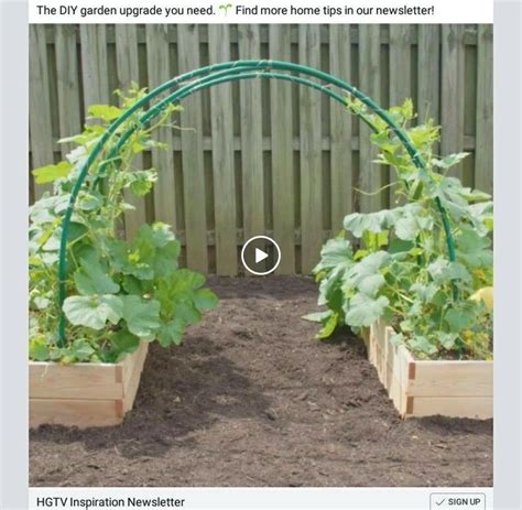 Check spelling or type a new query. Pin by Organic is Best on Square Foot Gardening | Diy ...