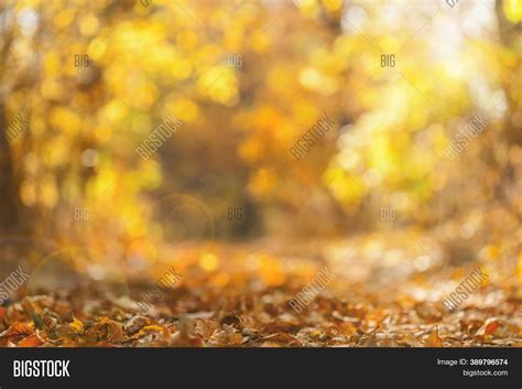 Blurred Autumn Image And Photo Free Trial Bigstock