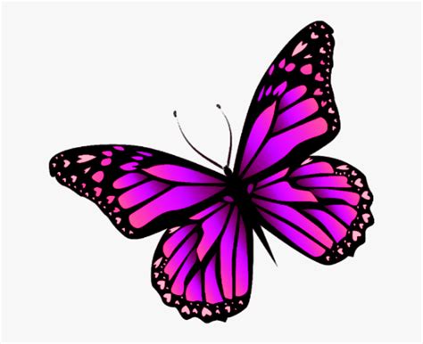 Aesthetic butterfly wallpapers iphone computer pastel mariposas fondos trippy butterflies purple screen pantalla aesthetics goukko butterflys glitter fondo hintergrundbilder luknav. Pink Butterfly Aesthetic Wallpaper Desktop | aesthetic name