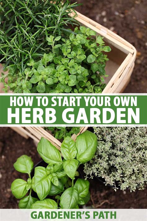 How To Start An Herb Garden Outdoors 25 Pretty Herb Garden Ideas