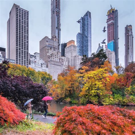 Fall Foliage By The Pond In Central Park Against Slim