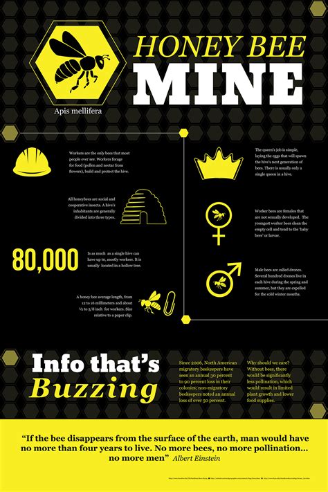Honey Bee Infographic On Behance