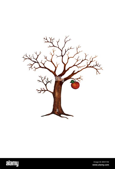 Apple Tree Winter Illustration Hi Res Stock Photography And Images Alamy