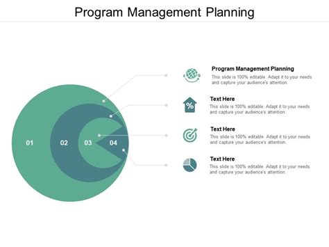 Program Management Planning Ppt Powerpoint Presentation Gallery